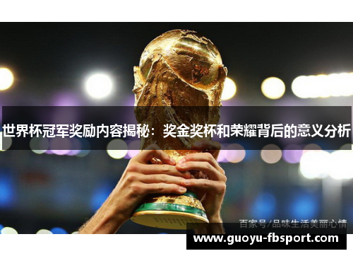 世界杯冠军奖励内容揭秘：奖金奖杯和荣耀背后的意义分析
