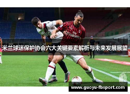 米兰球迷保护协会六大关键要素解析与未来发展展望 米兰球迷保护协会六大关键要素解析与未来发展展望
