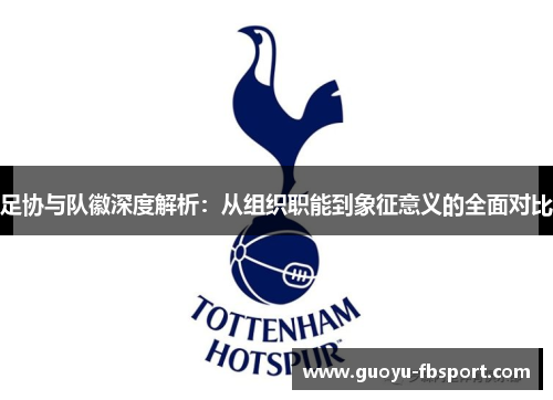 足协与队徽深度解析：从组织职能到象征意义的全面对比