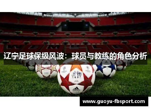 辽宁足球保级风波：球员与教练的角色分析