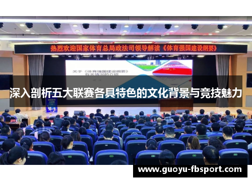 深入剖析五大联赛各具特色的文化背景与竞技魅力 深入剖析五大联赛各具特色的文化背景与竞技魅力