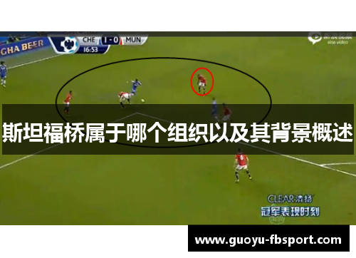 斯坦福桥属于哪个组织以及其背景概述